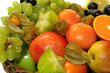 Obst 41
