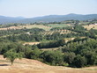 La campagna toscana La campagna toscana