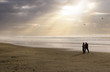 Tranquil Beach