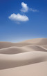 Foto: sand dunes sand dunes