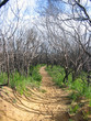 Mysterious and adventurous Wilson's promontory