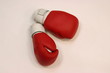 Boxing gloves