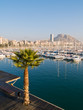 Beautiful harbor in Alicante Beautiful harbor in Alicante
