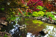 Pond in zen garden