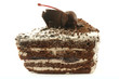 Čern&yacute; les Cake Slice