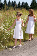 Strolling by in a field of daisies Strolling by in a field of daisies