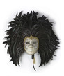 Venice carnival mask