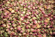 Dried rose buds