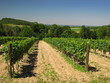 Dordogne, Périgord Vert Dordogne, Périgord Vert