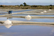 marais salant