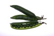 Peas in the Pod
