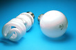 fluorescent & incandescent bulbs fluorescent & incandescent bulbs