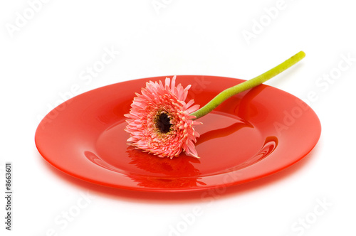 Red plate with flower isolated on the white Red plate with flower isolated on the white