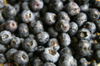 wet fresh blueberry