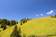 colline dans les alpes suisses