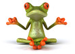Grenouille zen
