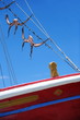 Octopus hanging to dry on boat