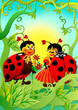 ladybug