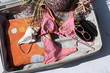 Suitcase with beach gear