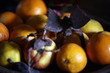 Closeup of oranges with decorative bugs