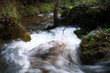 River rushing through forest