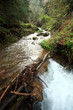 Waterfall in forest