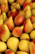 Etal de poires au marché Etal de poires au marché