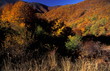 Mountain landscape