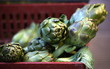 Artichokes