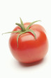 Tomato on white background