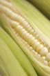Corn on cob, close-up
