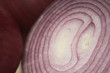 Cross section of red onion, close-up