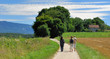 Promenade