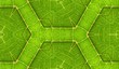 Underside Of Green Leaf Seamless Tile Background 5