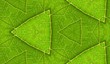 Underside Of Green Leaf Seamless Tile Background 8