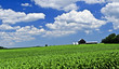 Rural landscape Rural landscape