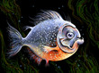Piranha