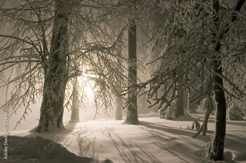 Photo: Snowy landscape with lantern in the background Snowy landscape with lantern in the background