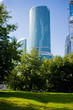 Harmony of nice business skyscrapers and the nature