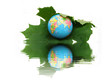 Save world.
