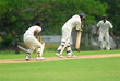 Stock Photo of cricket batsman and a catcher Stock Photo of cricket batsman and a catcher