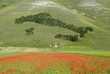 Italia a Castelluccio 2