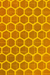 Hexagonia