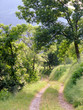 Chemin des Hautes-Alpes Chemin des Hautes-Alpes