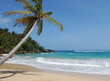 Playa Grande