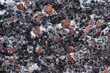 rock background with garnet inclusions