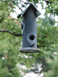 Vogelschutz