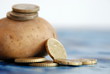 pomme de terre et monnaie