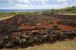 Puu O Mahuka Heiau