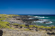 Ka'ena Point